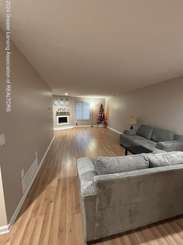 living room with a fireplace and hardwood / wood-style flooring