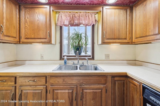 kitchen featuring sink and dishwasher