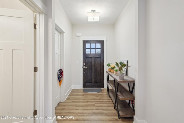 foyer entrance featuring light hardwood / wood-style floors