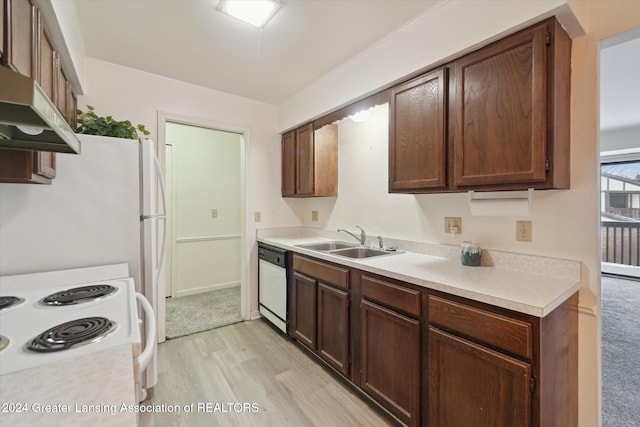 kitchen featuring white appliances, light hardwood / wood-style floors, dark brown cabinetry, and sink