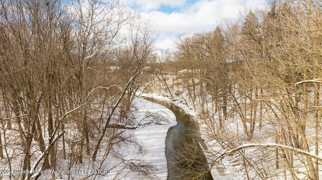 view of snowy landscape