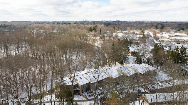 view of snowy aerial view