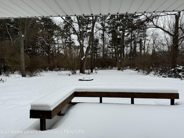 view of yard covered in snow