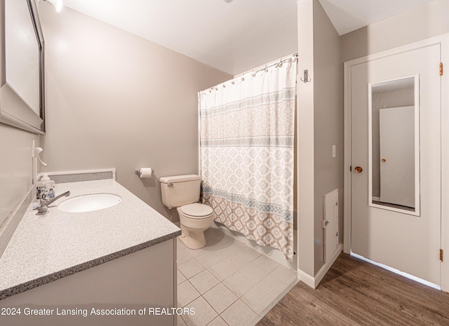 bathroom featuring toilet, vanity, and wood-type flooring