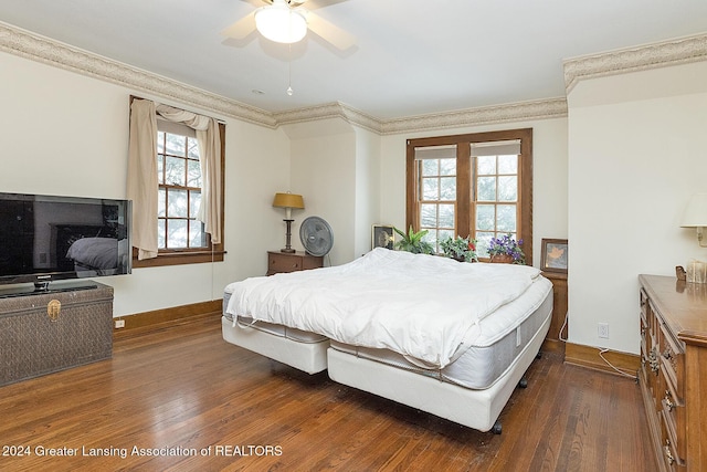 bedroom featuring dark wood-type flooring, ceiling fan, and multiple windows