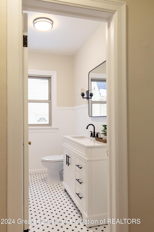 bathroom with toilet and vanity