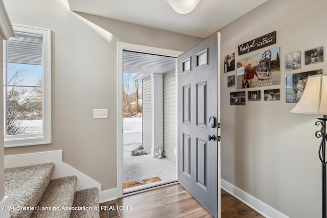 entryway with wood-type flooring