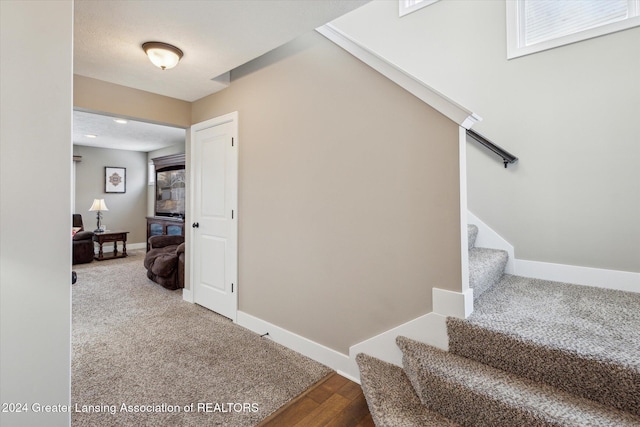 stairs with hardwood / wood-style flooring