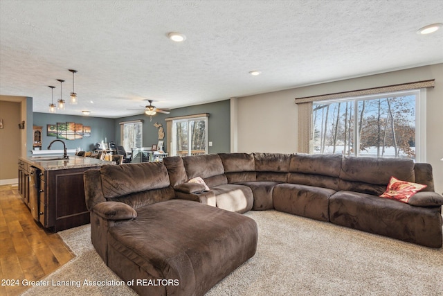 living room featuring sink, a textured ceiling, and light colored carpet