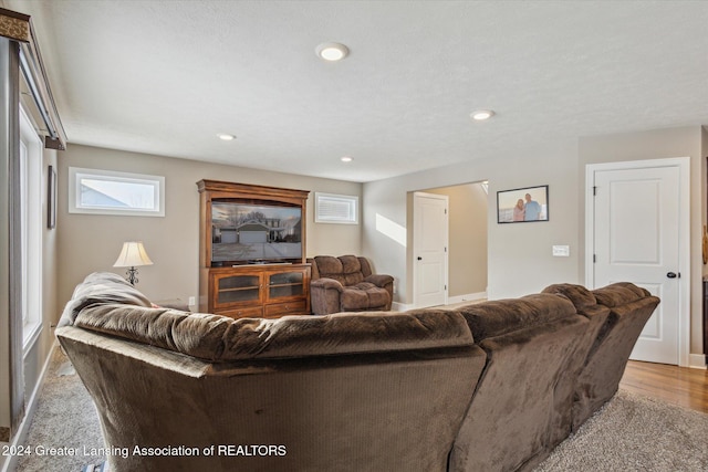 living room featuring a textured ceiling and light hardwood / wood-style floors