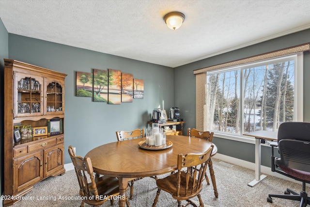 carpeted dining space with a textured ceiling