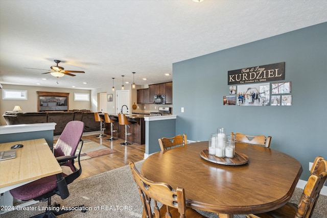 dining space featuring light wood-type flooring, ceiling fan, a textured ceiling, and sink