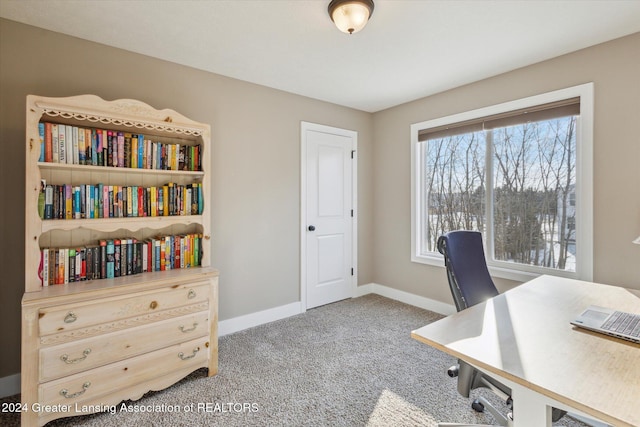 view of carpeted office