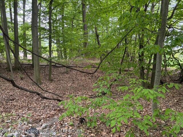 0 Sable Pointe Dr, Shelby, MI 49455