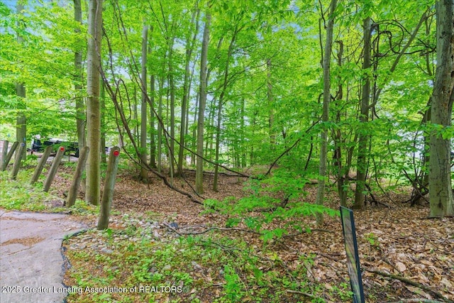 0 Sable Pointe Dr, Shelby, MI 49455