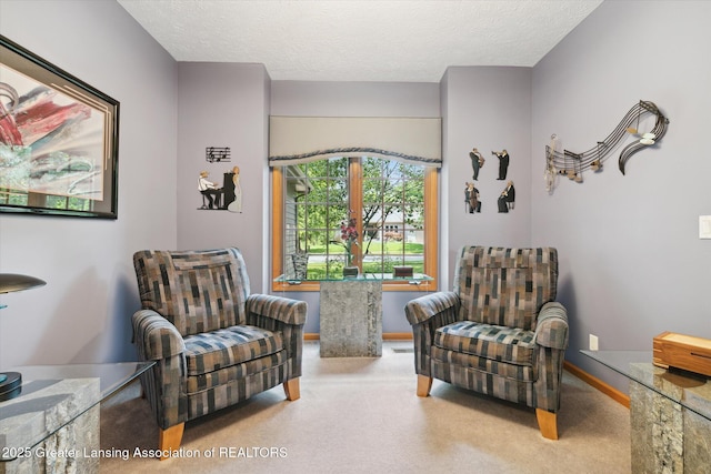 living area featuring a textured ceiling and carpet