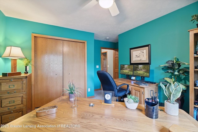 office area featuring ceiling fan