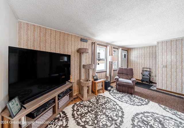 living room with a textured ceiling