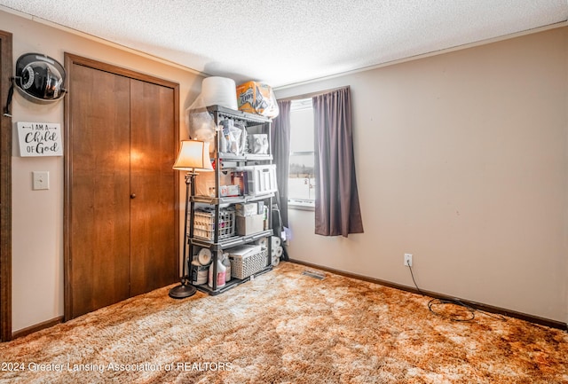 interior space with carpet floors and a textured ceiling