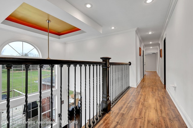 hallway with ornamental molding, wood-type flooring, and a tray ceiling