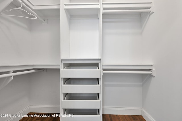 walk in closet featuring dark hardwood / wood-style flooring