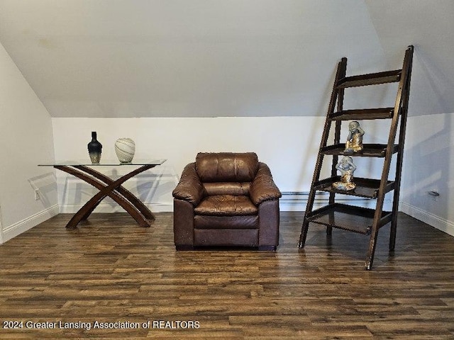 living area featuring lofted ceiling and dark hardwood / wood-style floors