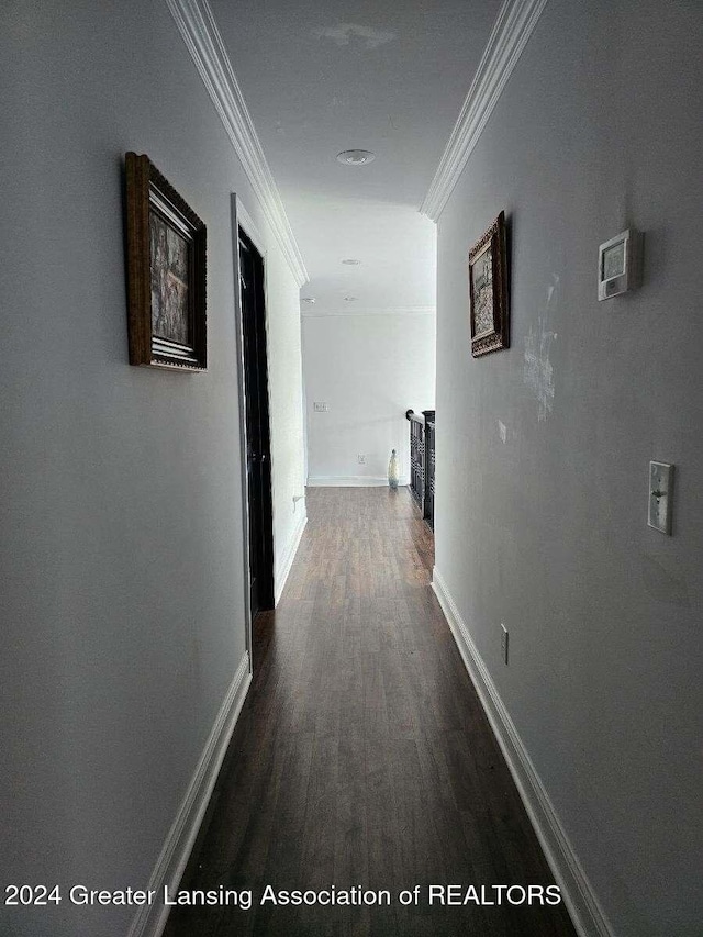 corridor featuring crown molding and dark wood-type flooring