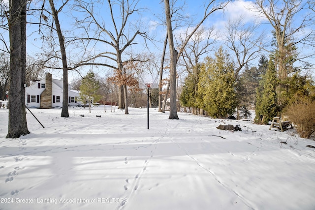 view of yard covered in snow