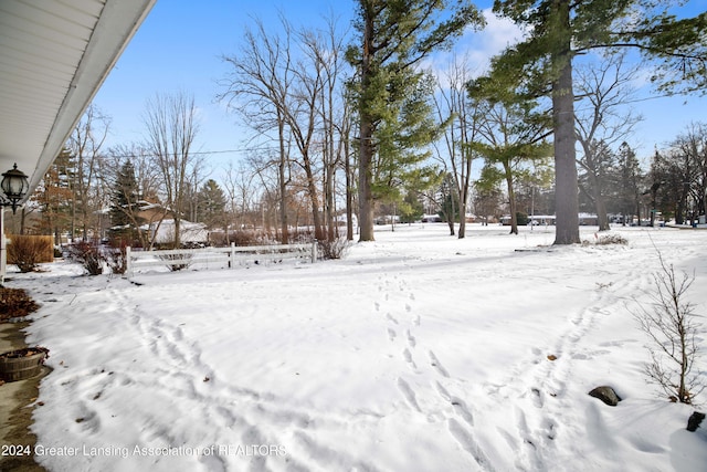 view of snowy yard