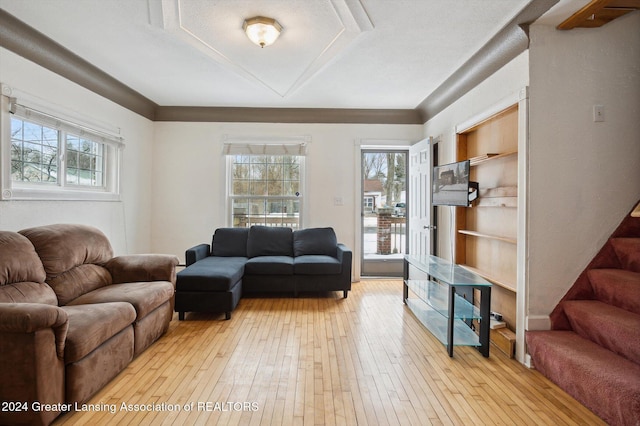 living room featuring light hardwood / wood-style flooring and a healthy amount of sunlight