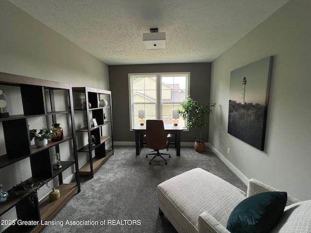 6097 Southridge Rd, East Lansing, MI 48823 - office with carpet and a textured ceiling