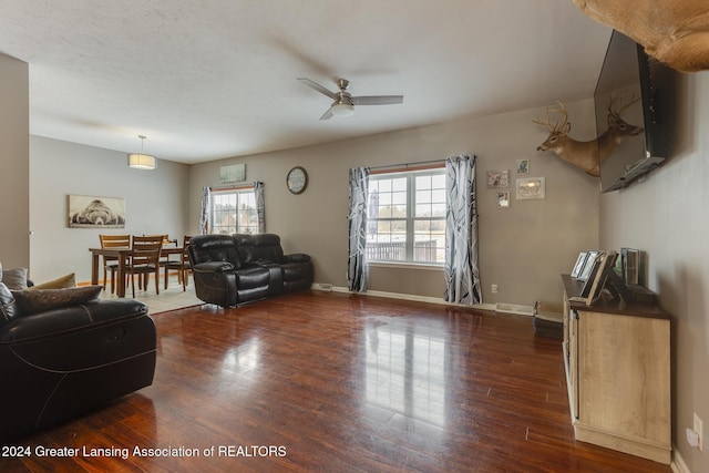 living room featuring ceiling fan and dark hardwood / wood-style floors