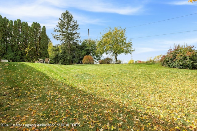 view of yard featuring a rural view