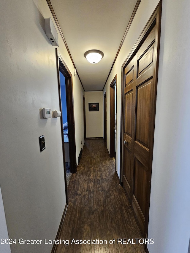 corridor featuring dark hardwood / wood-style floors and ornamental molding