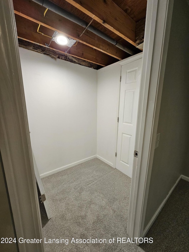 basement featuring carpet