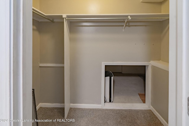 spacious closet with carpet floors