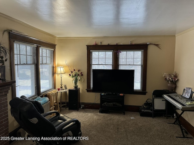 living area with ornamental molding, carpet, and baseboards