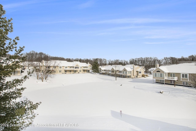 view of yard layered in snow