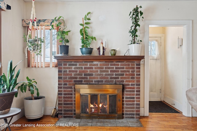 details featuring wood-type flooring and a fireplace