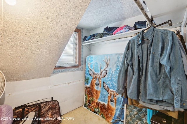 spacious closet featuring vaulted ceiling and carpet floors