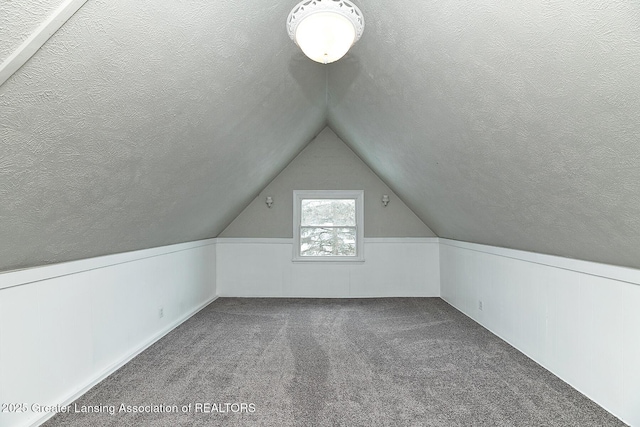 additional living space featuring carpet flooring, a textured ceiling, and lofted ceiling