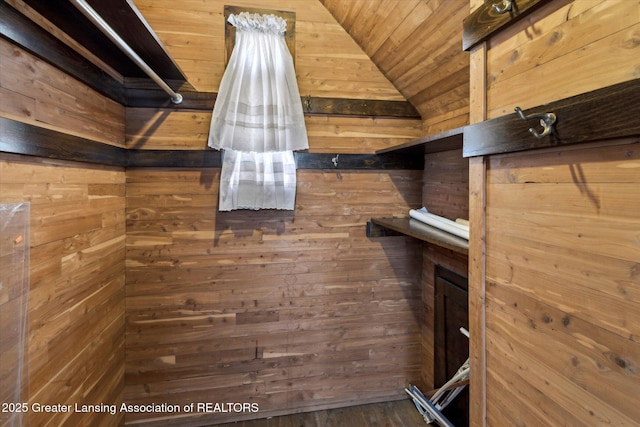 walk in closet with vaulted ceiling