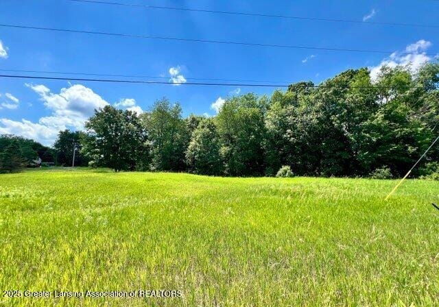 V/L S Shepardsville Rd, Laingsburg, MI 48848