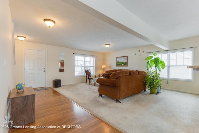 living room featuring beam ceiling, a textured ceiling, baseboards, and wood finished floors