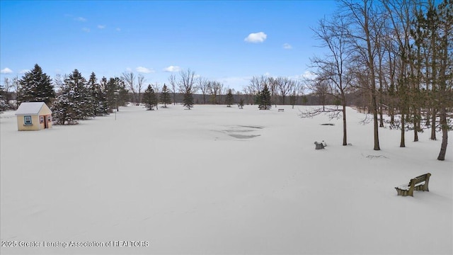 view of snowy yard