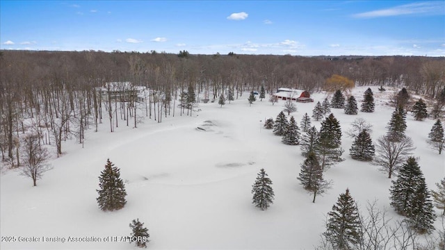 view of snowy aerial view