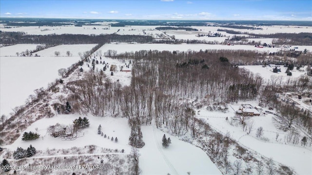 view of snowy aerial view