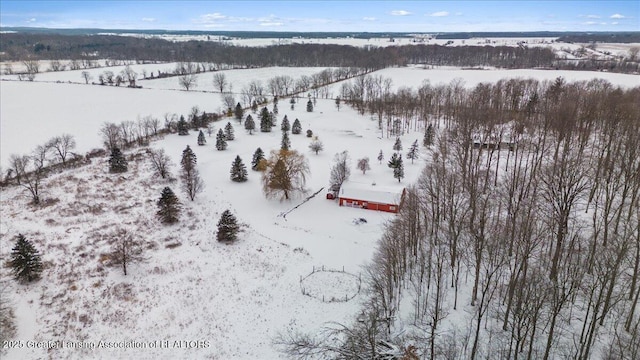 view of snowy aerial view