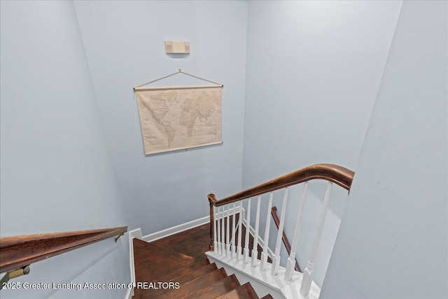 staircase featuring wood-type flooring