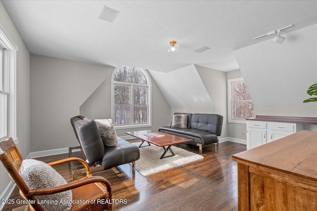 sitting room with lofted ceiling, dark hardwood / wood-style floors, and a textured ceiling